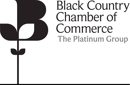platinum insurance group google review platinum insurance group google review