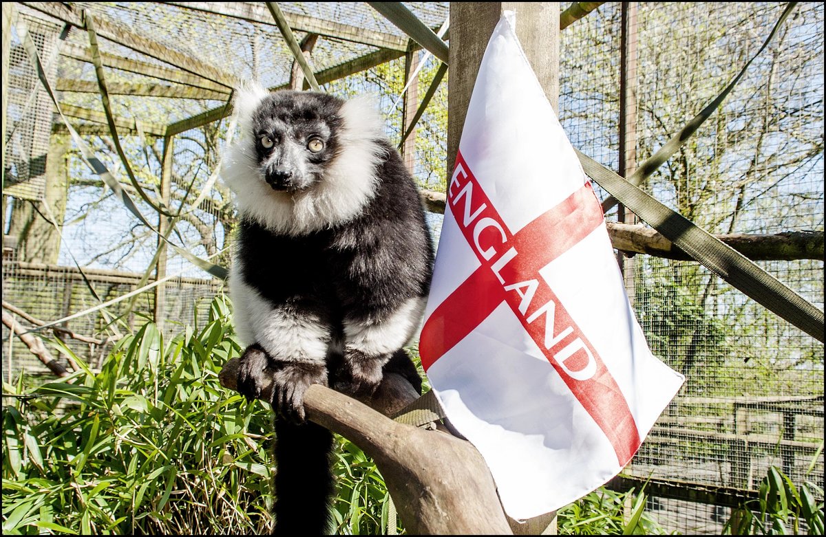 Celebrate St George's Day at Dudley Zoo - Black Country Chamber of Commerce